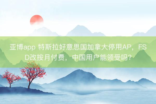 亚博app 特斯拉好意思国加拿大停用AP，FSD改按月付费，中国用户能领受吗?