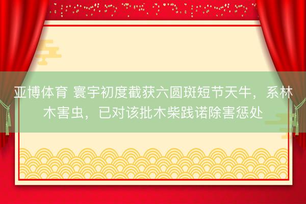 亚博体育 寰宇初度截获六圆斑短节天牛，系林木害虫，已对该批木柴践诺除害惩处
