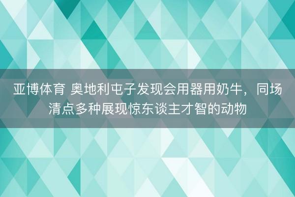 亚博体育 奥地利屯子发现会用器用奶牛，同场清点多种展现惊东谈主才智的动物