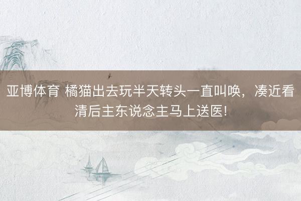 亚博体育 橘猫出去玩半天转头一直叫唤，凑近看清后主东说念主马上送医!