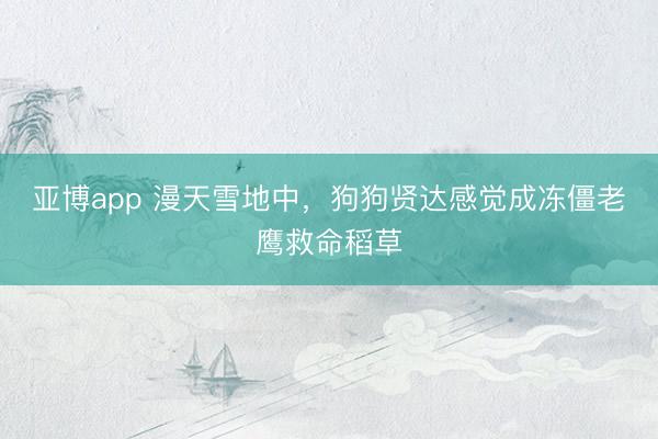 亚博app 漫天雪地中，狗狗贤达感觉成冻僵老鹰救命稻草