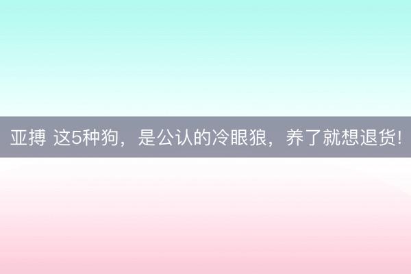 亚搏 这5种狗，是公认的冷眼狼，养了就想退货!