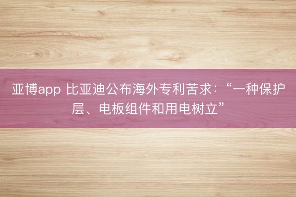 亚博app 比亚迪公布海外专利苦求：“一种保护层、电板组件和用电树立”