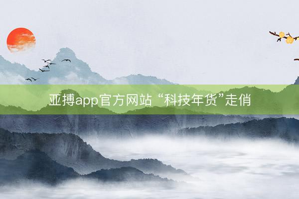 亚搏app官方网站 “科技年货”走俏