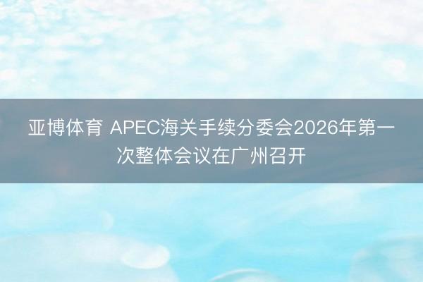 亚博体育 APEC海关手续分委会2026年第一次整体会议在广州召开