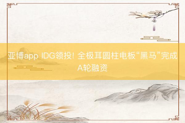亚博app IDG领投! 全极耳圆柱电板“黑马”完成A轮融资