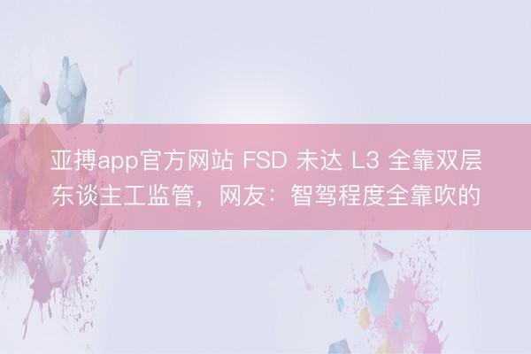 亚搏app官方网站 FSD 未达 L3 全靠双层东谈主工监管，网友：智驾程度全靠吹的