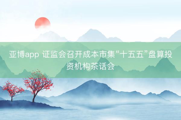 亚博app 证监会召开成本市集“十五五”盘算投资机构茶话会