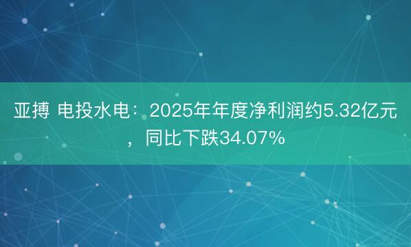亚搏 电投水电：2025年年度净利润约5.32亿元，同比下跌34.07%