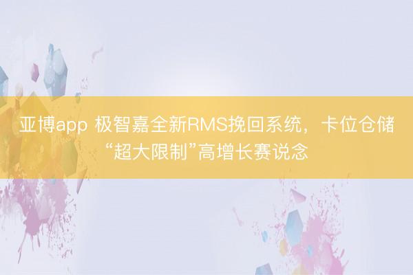 亚博app 极智嘉全新RMS挽回系统,卡位仓储“超大限制”高增长赛说念