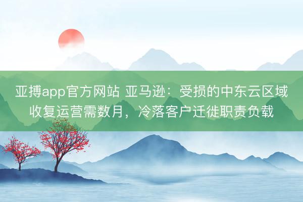 亚搏app官方网站 亚马逊：受损的中东云区域收复运营需数月，冷落客户迁徙职责负载