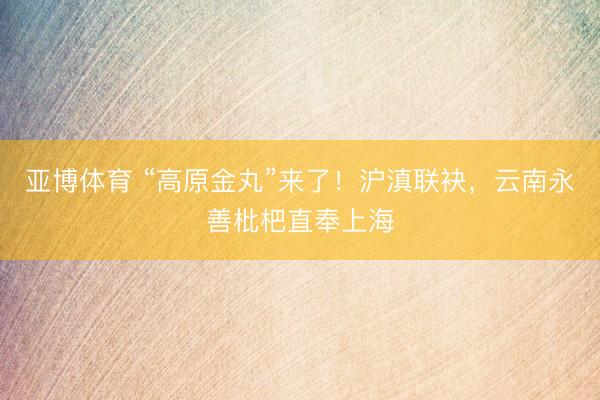 亚博体育 “高原金丸”来了！沪滇联袂，云南永善枇杷直奉上海