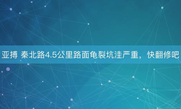 亚搏 秦北路4.5公里路面龟裂坑洼严重，快翻修吧