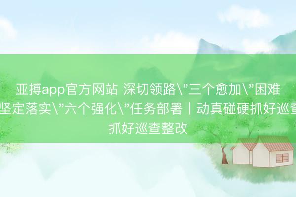 亚搏app官方网站 深切领路