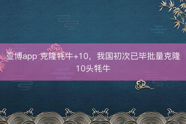 亚博app 克隆牦牛+10，我国初次已毕批量克隆10头牦牛