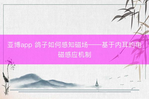 亚博app 鸽子如何感知磁场——基于内耳的电磁感应机制