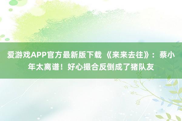 爱游戏APP官方最新版下载 《来来去往》:蔡小年太离谱!好心撮合反倒成了猪队友