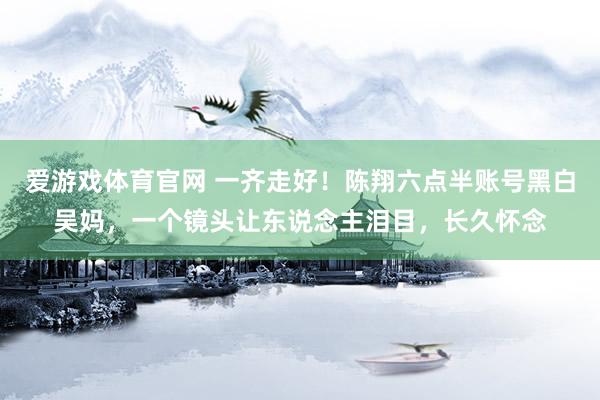 爱游戏体育官网 一齐走好!陈翔六点半账号黑白吴妈,一个镜头让东说念主泪目,长久怀念