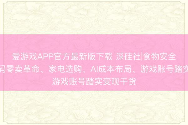 爱游戏APP官方最新版下载 深硅社|食物安全整治、数码零卖革命、家电选购、AI成本布局、游戏账号踏实变现干货