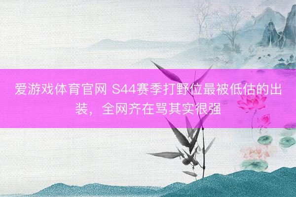 爱游戏体育官网 S44赛季打野位最被低估的出装,全网齐在骂其实很强