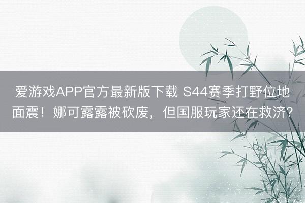 爱游戏APP官方最新版下载 S44赛季打野位地面震！娜可露露被砍废，但国服玩家还在救济？