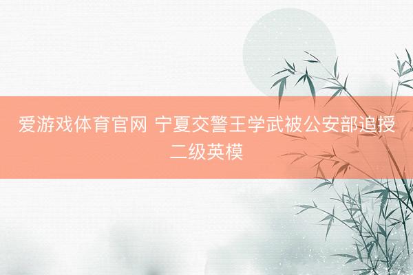 爱游戏体育官网 宁夏交警王学武被公安部追授二级英模