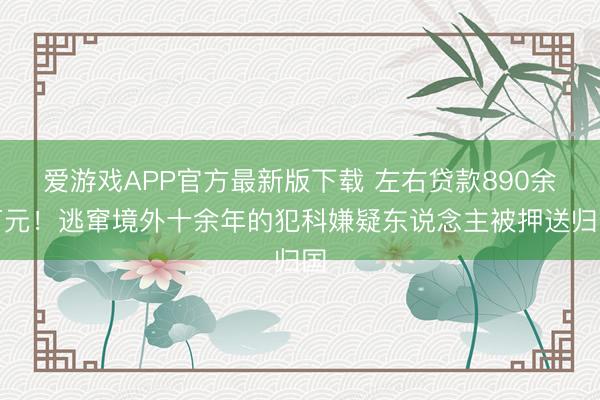 爱游戏APP官方最新版下载 左右贷款890余万元！逃窜境外十余年的犯科嫌疑东说念主被押送归国
