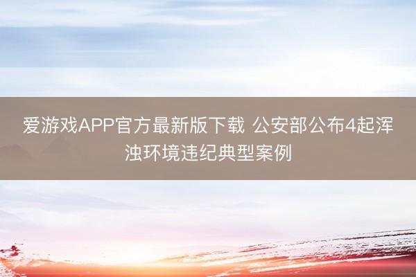 爱游戏APP官方最新版下载 公安部公布4起浑浊环境违纪典型案例