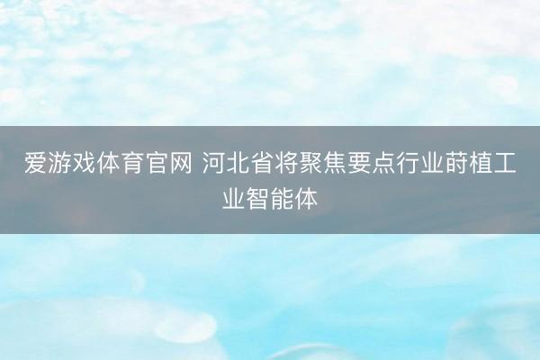 爱游戏体育官网 河北省将聚焦要点行业莳植工业智能体