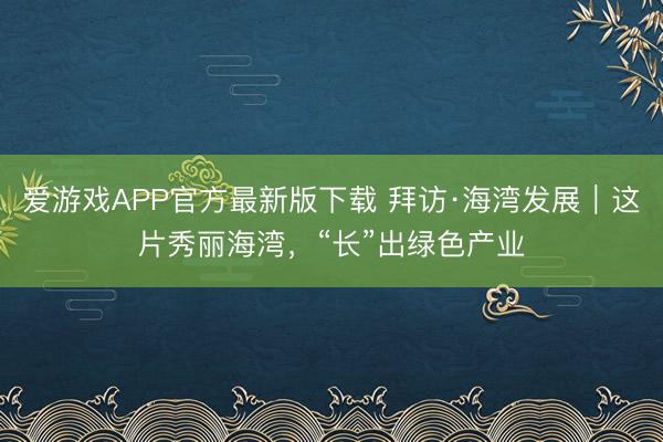 爱游戏APP官方最新版下载 拜访·海湾发展|这片秀丽海湾,“长”出绿色产业